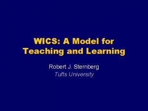 Principles of wics model