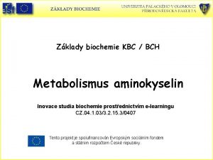 Zklady biochemie KBC BCH Metabolismus aminokyselin Inovace studia