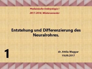 Medizinische Embryologie I 2017 2018 Wintersemester Entstehung und