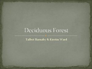 Deciduous Forest Talbot Barnaby Kirstin Ward Deciduous forests