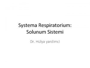 Systema respiratorium