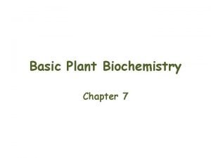 Basic Plant Biochemistry Chapter 7 Carbohydrates Of the