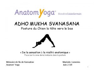 Adho mukha svanasana