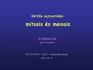 Ktfle sejtosztds mitosis s meiosis Dr Rhlich Pl