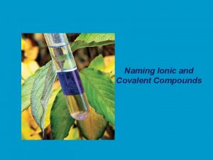 Naming ionic and covalent compounds