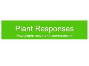 Plant Responses How plants move and communicate Early