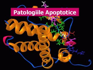 Patologiile Apoptotice Apoptoza Definiie Form activ a morii