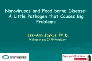 Noroviruses and Food borne Disease A Little Pathogen