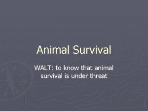 Animal Survival WALT to know that animal survival Animal Survival WALT to know that animal survival
