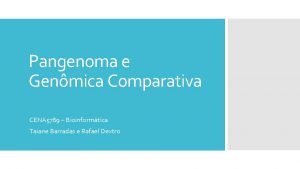 Pangenoma e Genmica Comparativa CENA 5789 Bioinformtica Taiane