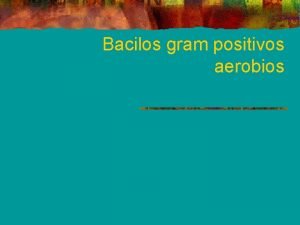 Bacilos gram positivos aerobios
