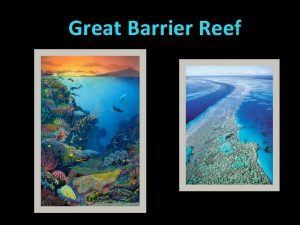 Great Barrier Reef Facts Larger than the Great