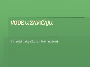 VODE U ZAVIAJU ivi svijet u stajaicama bari