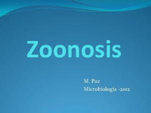 Zoonosis M Paz Microbiologa 2012 LISTERIOSIS Listeria monocytogenes