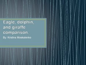 Eagle dolphin and giraffe comparison By Kristina Moskalenko