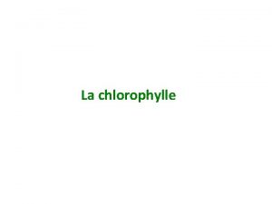 Extraire chlorophylle brute