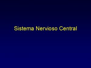 Sistema Nervioso Central Clulas del SNC Neuronas Astrocitos