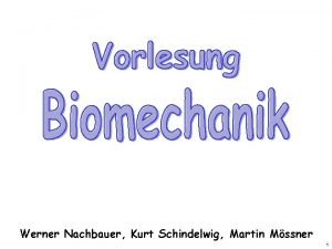 Anthropometrische biomechanik