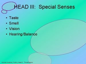 HEAD III Special Senses Taste Smell Vision HearingBalance