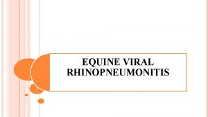 Equine viral rhinopneumonitis