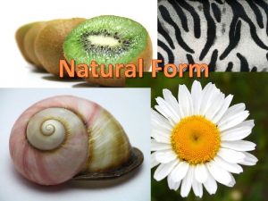Types of natural forms