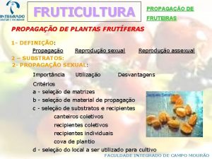 FRUTICULTURA PROPAGAO DE FRUTEIRAS PROPAGAO DE PLANTAS FRUTFERAS