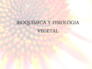 BIOQUMICA Y FISIOLOGIA VEGETAL FISIOLOGA VEGETAL Ciencia que