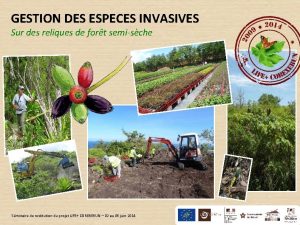 GESTION DES ESPECES INVASIVES Sur des reliques de