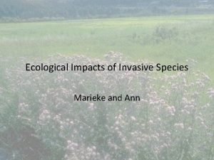 Ecological Impacts of Invasive Species Marieke and Ann