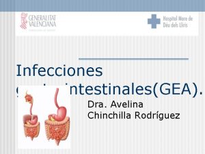 Infecciones gastrointestinalesGEA Dra Avelina Chinchilla Rodrguez Mortalidad 50