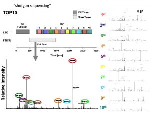 shotgun sequencing 1 st 2 nd 3 rd