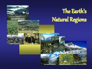 The Earths Natural Regions EARTHS NATURAL REGIONS Tundra