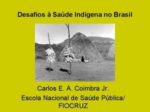 Desafios Sade Indgena no Brasil Carlos E A