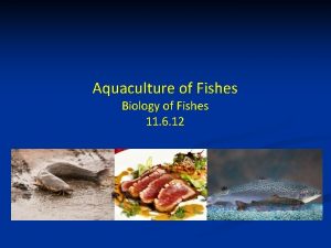 Example of aquaculture