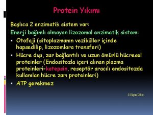 Protein Ykm Balca 2 enzimatik sistem var Enerji