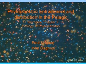 Phytoplankton Entrainment and distribution in the Pelagic C