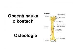 Obecn nauka o kostech Osteologie Rozdlen kost Dlouh
