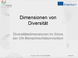 Dimensionen von Diversittsdimensionen im Sinne der UNMenschrechtskonvention Project