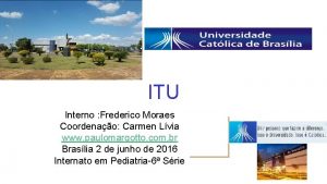 ITU Interno Frederico Moraes Coordenao Carmen Lvia www