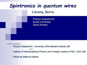 Spintronics in quantum wires Lloren Serra Physics Department