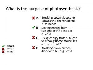 Purpose of photosynthesis