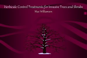 Herbicide Control Treatments for Invasive Trees and Shrubs