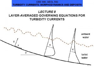 CEE 598 GEOL 593 TURBIDITY CURRENTS MORPHODYNAMICS AND