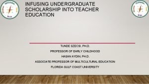 INFUSING UNDERGRADUATE SCHOLARSHIP INTO TEACHER EDUCATION TUNDE SZECSI