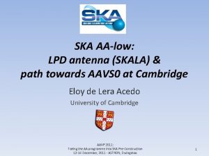 SKA AAlow LPD antenna SKALA path towards AAVS