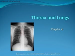 Chapter 18 Thorax and Lungs Chapter 18 Elsevier