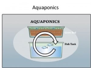 Carbon cycle in aquaponics