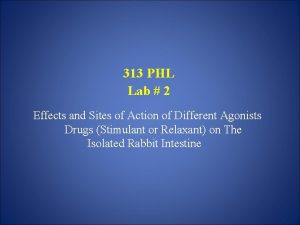 313 PHL Lab 2 Effects and Sites of