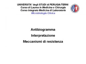 UNIVERSITA degli STUDI di PERUGIATERNI Corso di Laurea