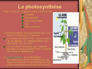 Photosynthses